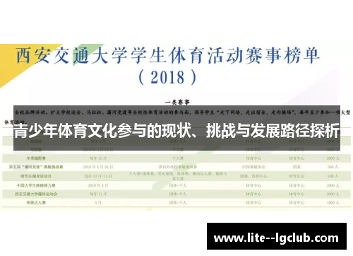 青少年体育文化参与的现状、挑战与发展路径探析